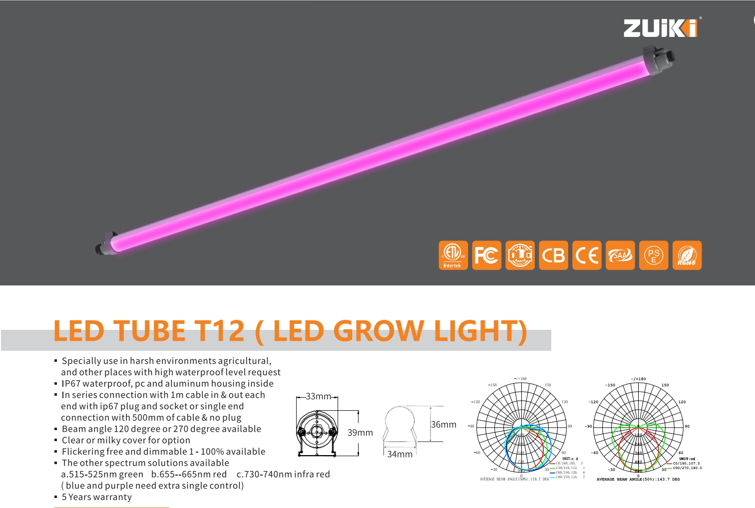 T12B.1.jpg